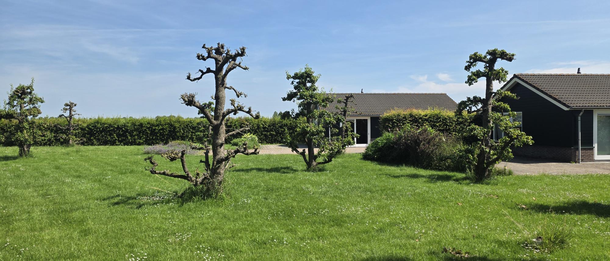 Zorgvakantie in de Betuwe zonder zorgen