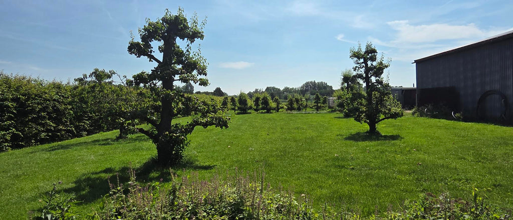 Vakantiewoning - Perenstekkie