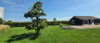 Vakantiewoning - Appelstekkie